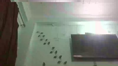 Hard_Seven_inch live from India