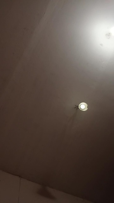 TinaaRina live from United States