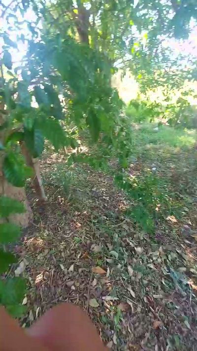 jao_magrao live from Brazil