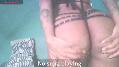 stella_clitella live from United States